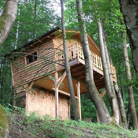Treehouse Velké Losiny Esterno foto