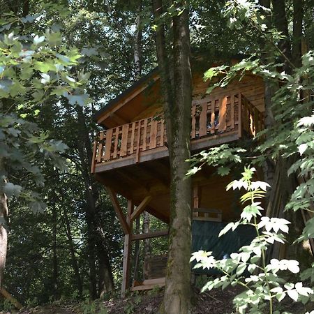 Treehouse Velké Losiny Esterno foto