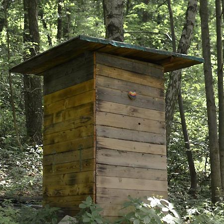 Treehouse Velké Losiny Esterno foto