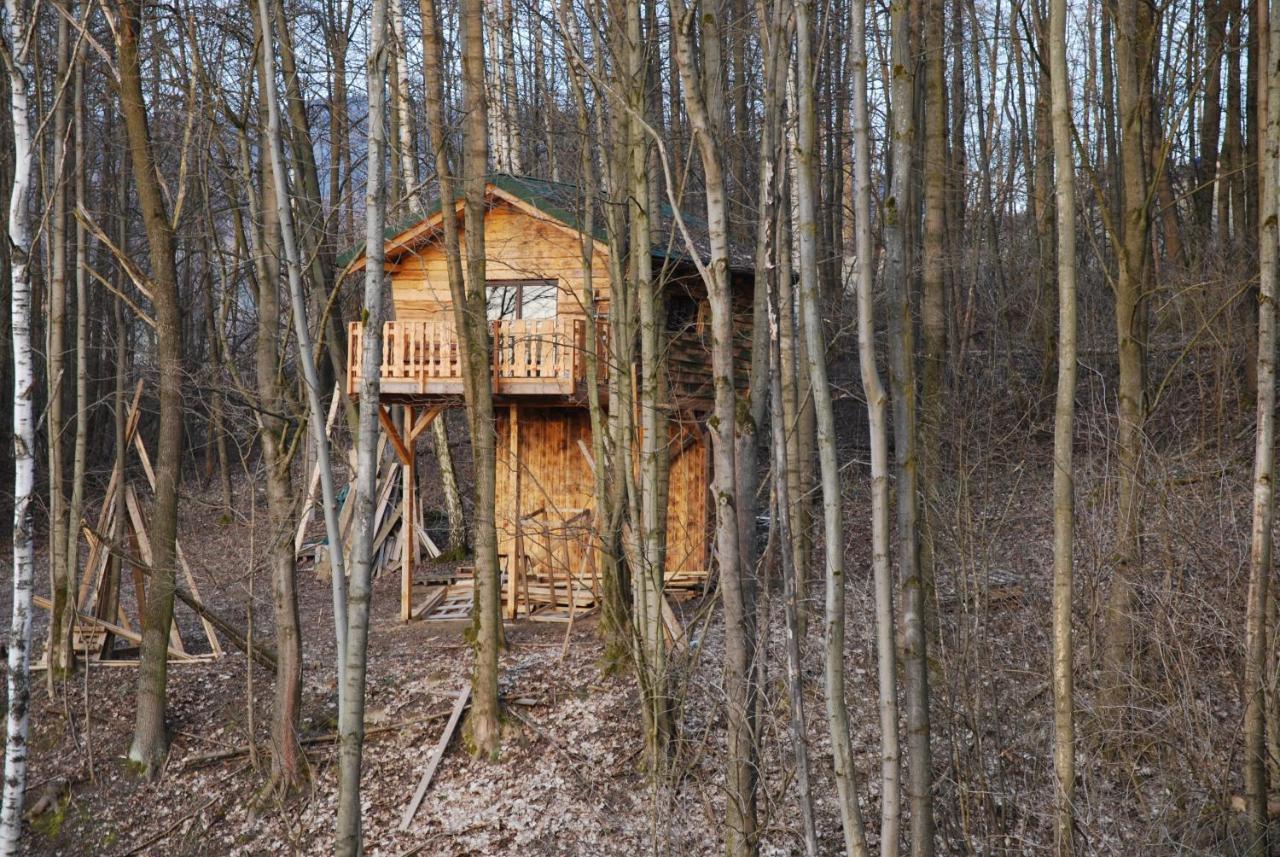 Treehouse Velké Losiny Esterno foto