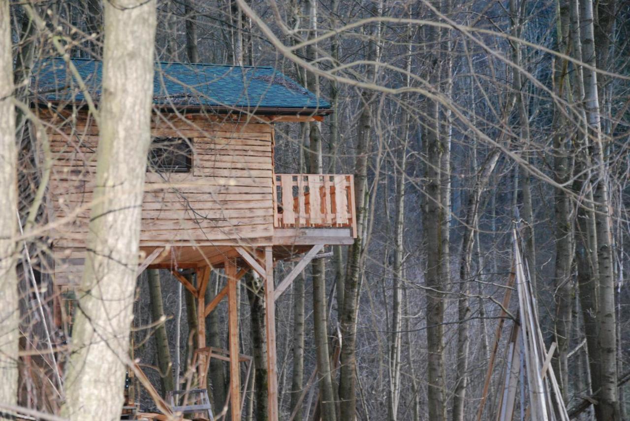Treehouse Velké Losiny Esterno foto