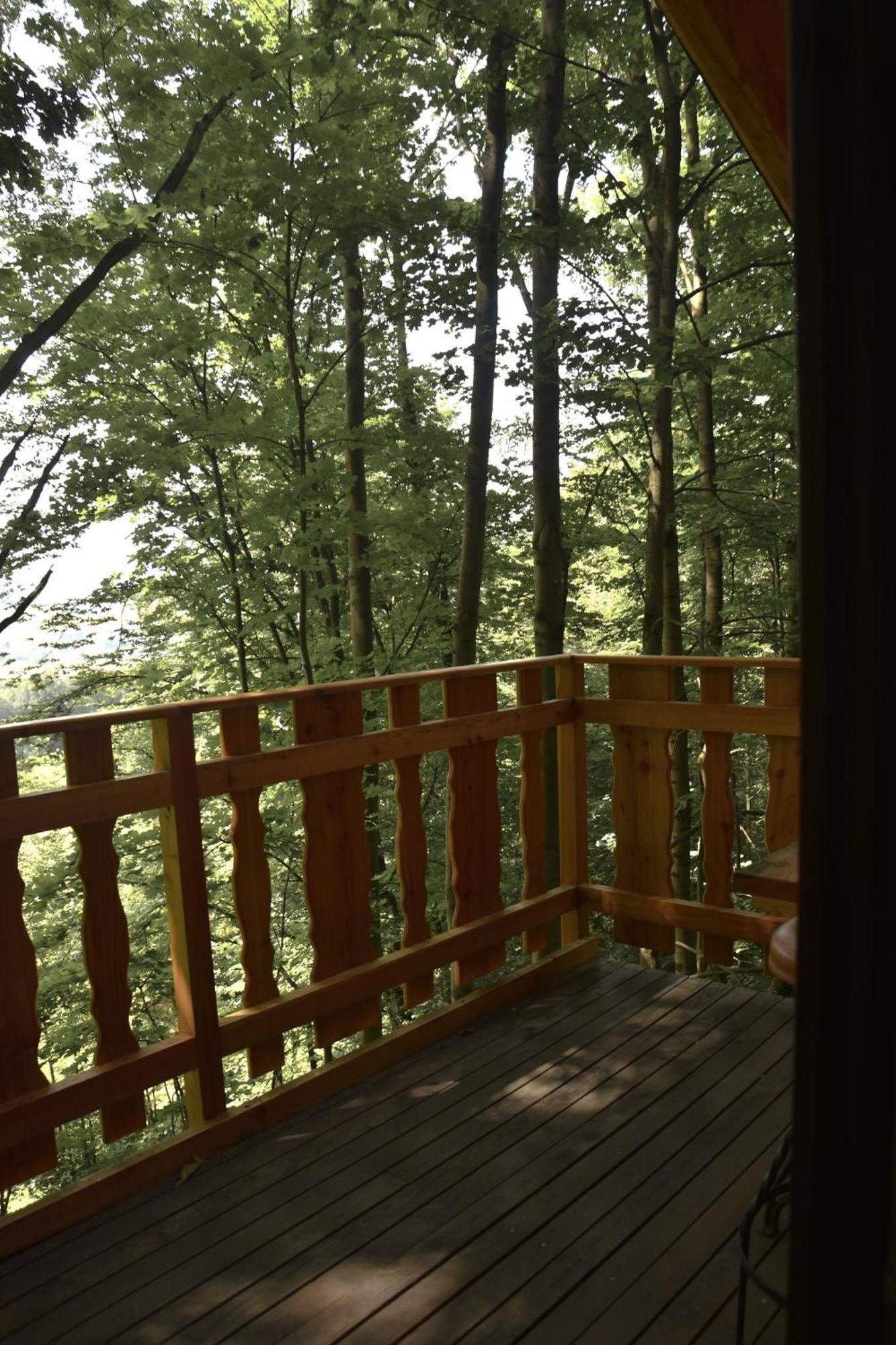 Treehouse Velké Losiny Esterno foto