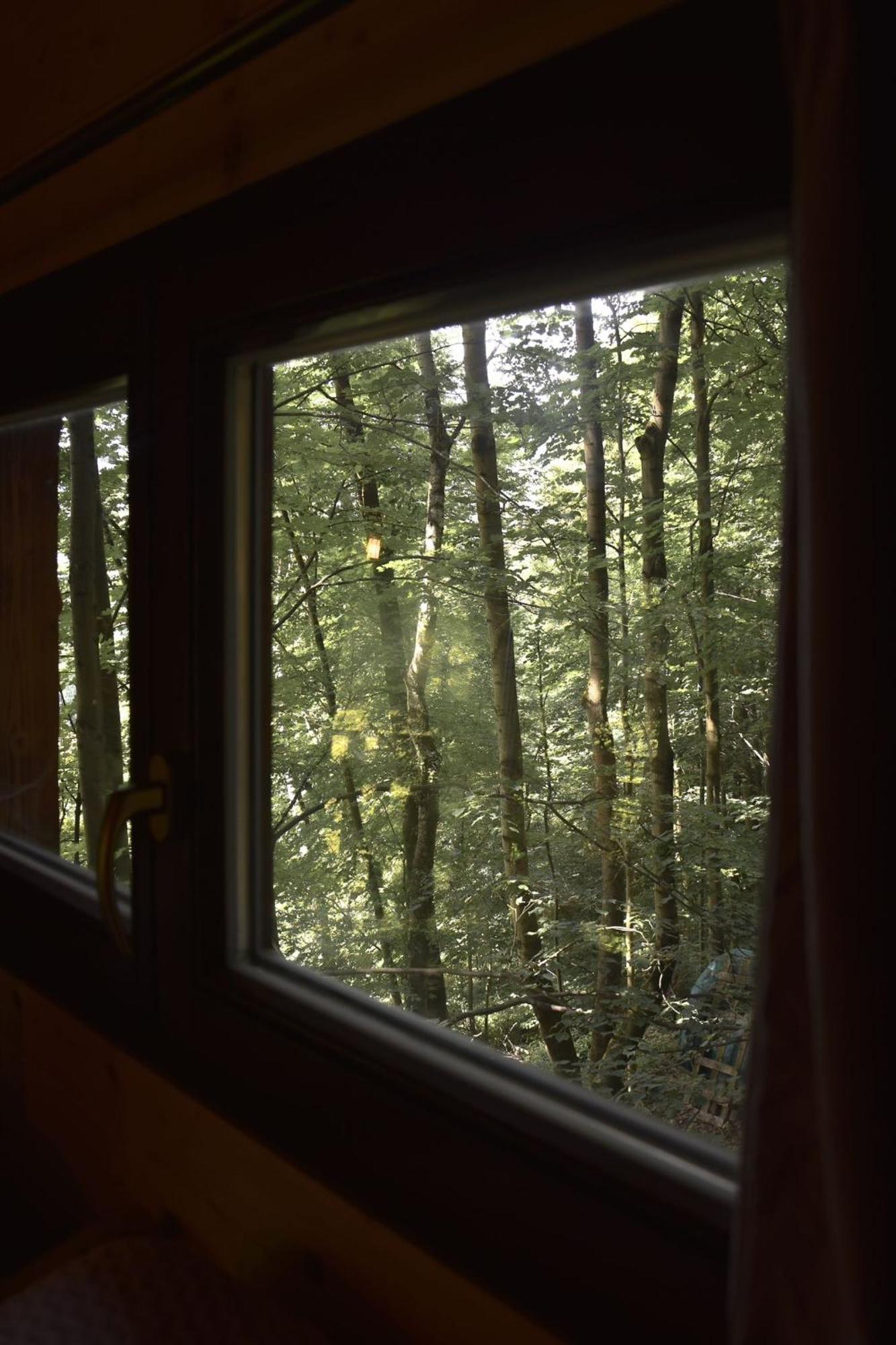 Treehouse Velké Losiny Esterno foto
